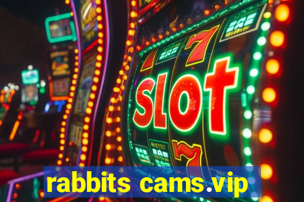 rabbits cams.vip